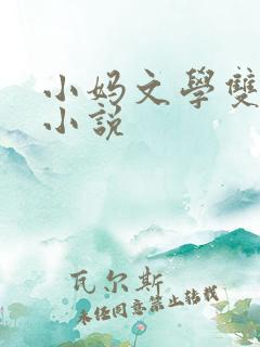 小妈文学双男主小说