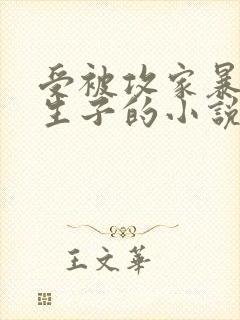 受被攻家暴囚禁生子的小说