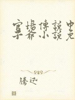 官场传说中的太子爷小说免费阅读