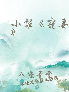 小说《宠妻如令》