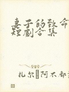 妻子的致命谎言短剧合集