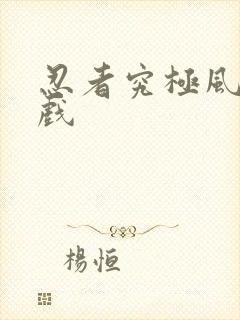 忍者究极风暴游戏