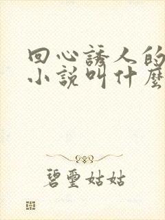 回心诱人的原著小说叫什么