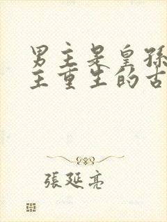 男主是皇孙,女主重生的古言