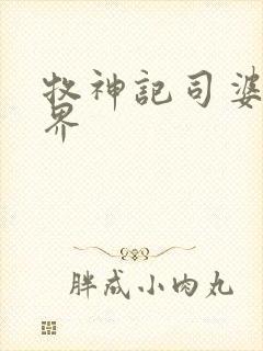 牧神记司婆婆境界