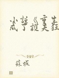 小说《重生后我成了护夫狂魔》