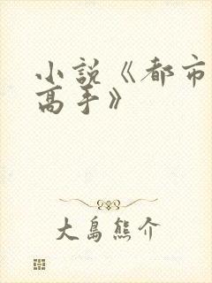 小说《都市绝品高手》