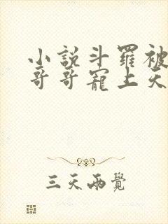 小说斗罗被唐三哥哥宠上天