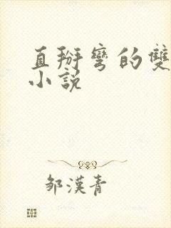 直掰弯的双男主小说