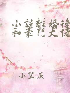 小说离婚后,我和豪门大佬领证了