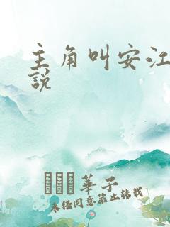 主角叫安江的小说