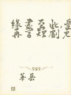 缘尽至此,爱不再言短剧免费播放