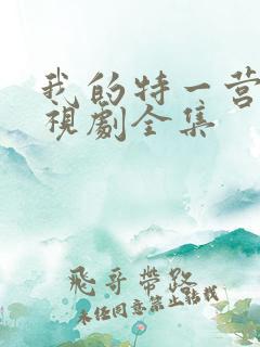 我的特一营 电视剧全集