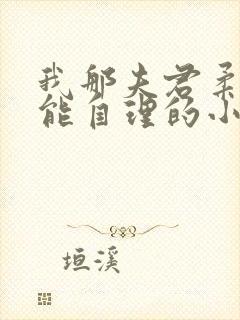 我那夫君柔弱不能自理的小说