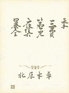 暴夜第三季漫画全集免费