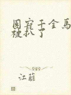 团宠千金马甲又被扒了