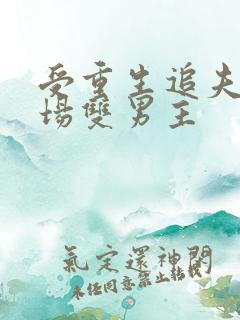 受重生追夫火葬场双男主