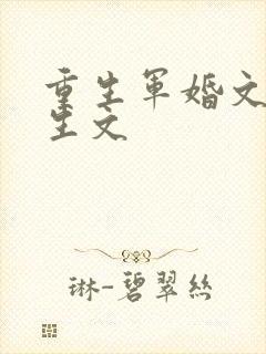 重生军婚文 重生文