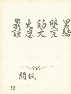 最火的双男主小说虐文完结受推文