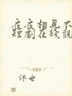 夜夜相见不识君短剧在线观看完整版免费