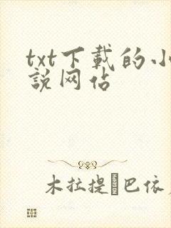 txt下载的小说网站