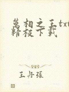 万相之王txt精校下载