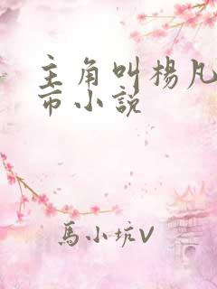 主角叫杨凡的都市小说