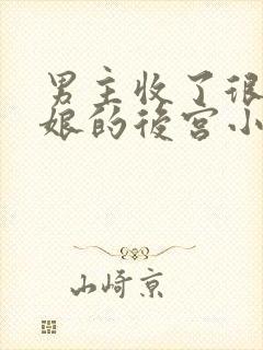 男主收了很多姨娘的后宫小说