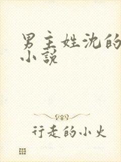 男主姓沈的军婚小说