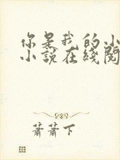 你是我的小确幸小说在线阅读