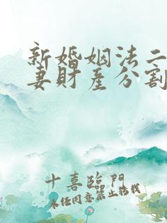 新婚姻法二婚夫妻财产分割