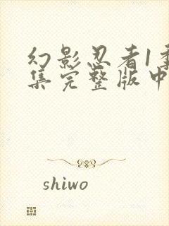 幻影忍者1季全集完整版中文