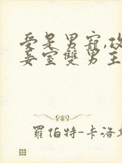 受是男宠,攻有妾室双男主小说