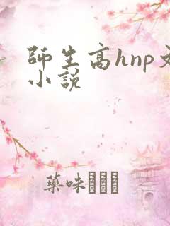 师生高hnp文小说