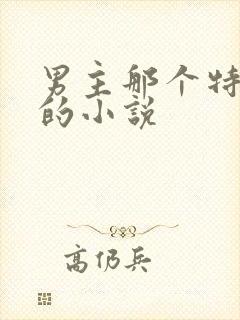 男主那个特别大的小说