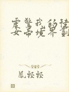 震惊我的徒弟是女帝境界划分