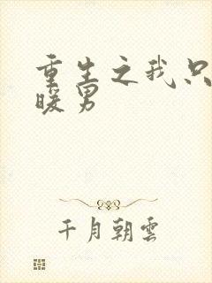 重生之我只想当暖男