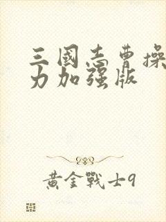 三国志曹操传威力加强版