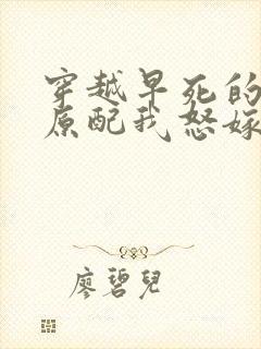 穿越早死的炮灰原配我怒嫁反派类似小说