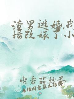 渣男逃婚,我当场改嫁了小说txt