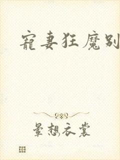 宠妻狂魔别太坏