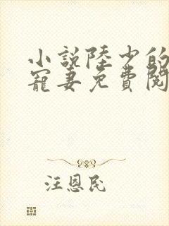 小说陆少的心尖宠妻免费阅读