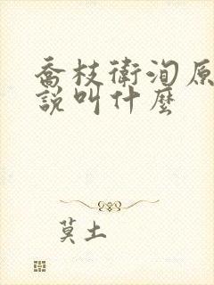 乔枝卫洵原著小说叫什么