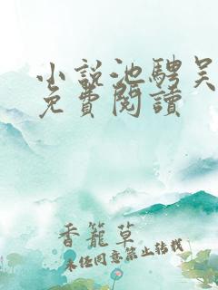 小说池骋吴所畏免费阅读