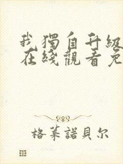 我独自升级动漫在线观看免费