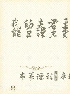 我的夫君柔弱不能自理免费阅读