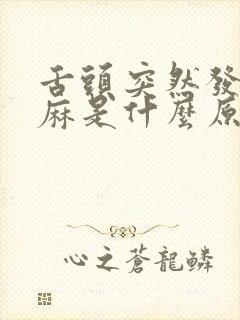 舌头突然发苦发麻是什么原因