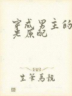 穿成男主的白月光原配