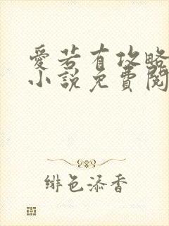 爱若有攻略原著小说免费阅读