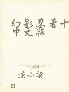 幻影忍者十七季中文版